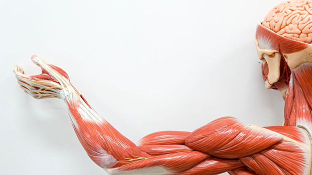 Ученые выяснили, от чего зависит риск развития деменции