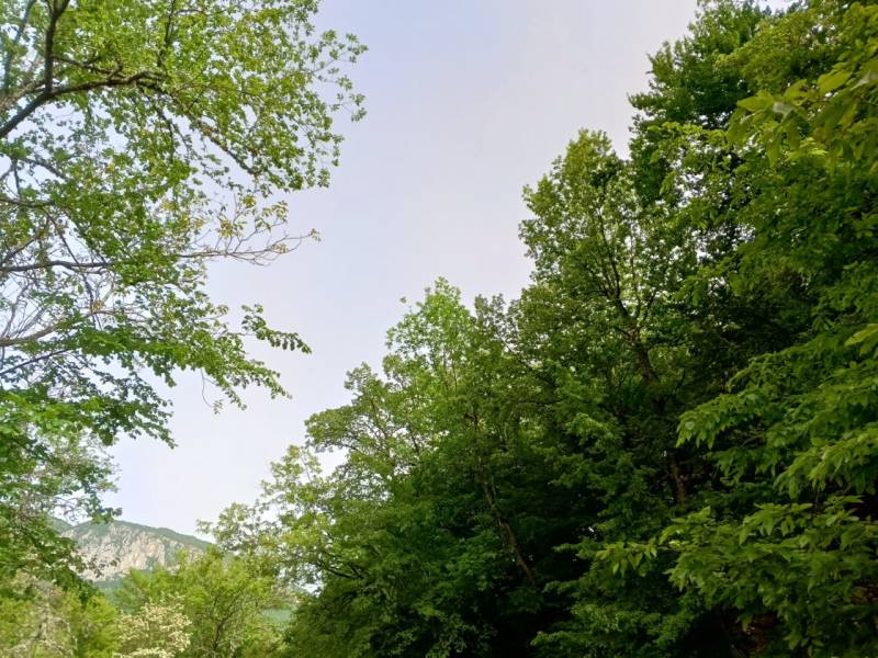 Прогноз погоды в Крыму на 30 мая