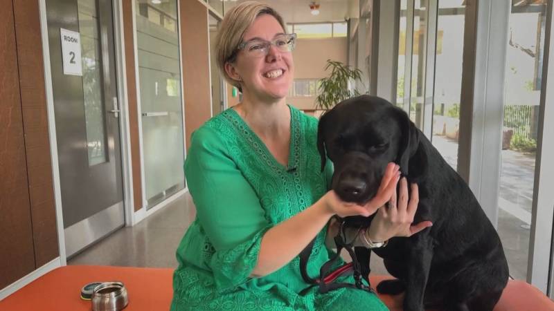 Австралийские учёные разработают правильный метод похудения для толстых собак