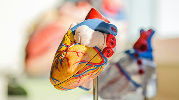 Исследование выяснило, от чего мужчины умирают чаще, чем женщины