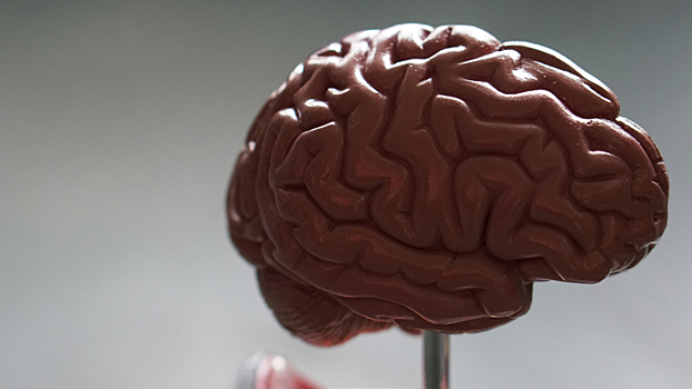 Ученые выяснили, что ускоряет развитие болезни Альцгеймера