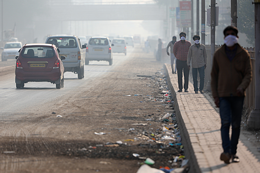 Как выхлопные газы влияют на здоровье людей и животных