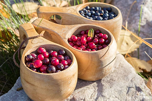 Может ли витамин C защитить от болезней сердца