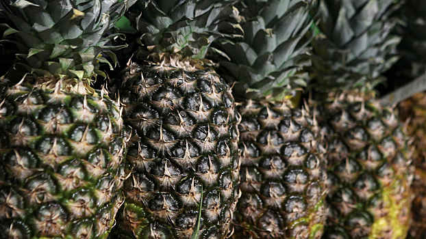 Ученые выяснили, какой фрукт лучше всего борется с ожирением