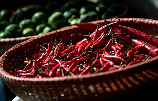 Острый перец поможет создать новые формы анальгетиков