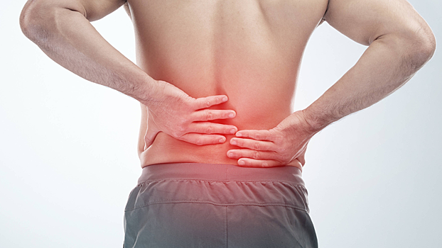 Ученые разработали «сахарный клей» для восстановления межпозвоночных дисков