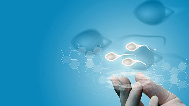 Ученые выяснили, как температура влияет на поведение сперматозоидов