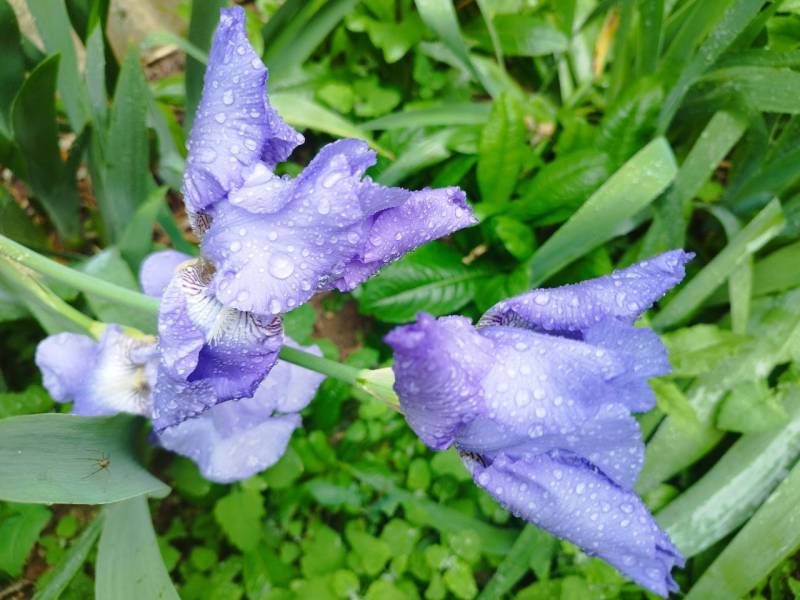 Прогноз погоды в Крыму на 31 мая