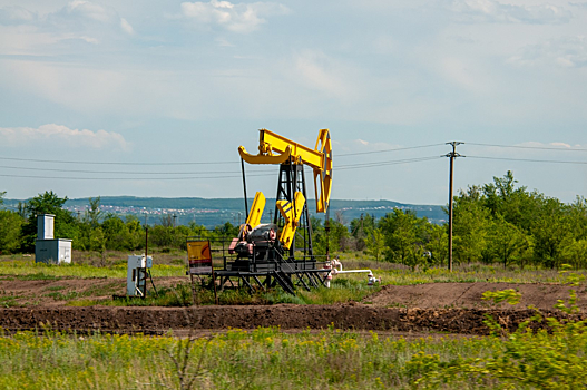 Что ждет цены на нефть? Эксперт оценил новый доклад ОПЕК