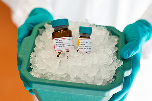 Разработан препарат, продлевающий жизнь на 30%