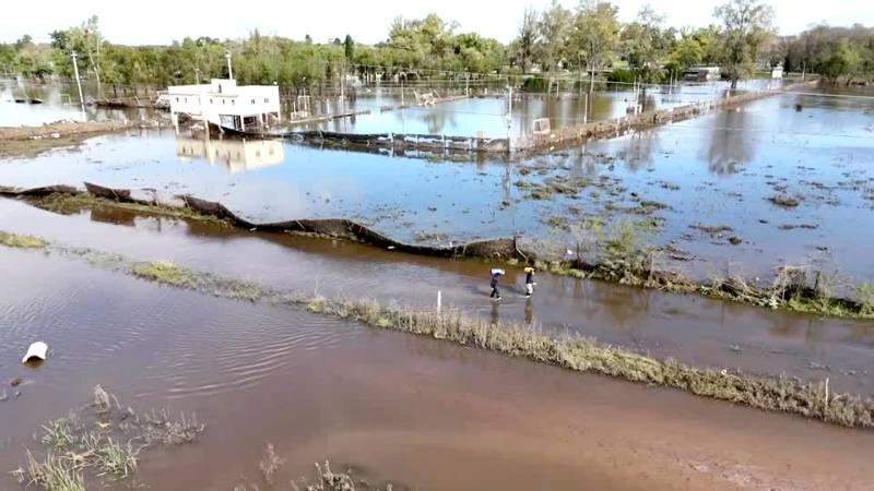 Сильные ливни нанесли серьёзный удар по сельскому хозяйству в Аргентине