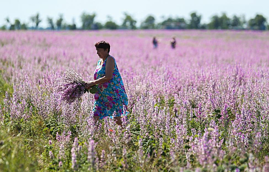 В России подорожает популярный продукт