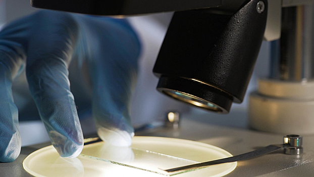 Исследователи нашли белки-возбудители «болезни-призрака»