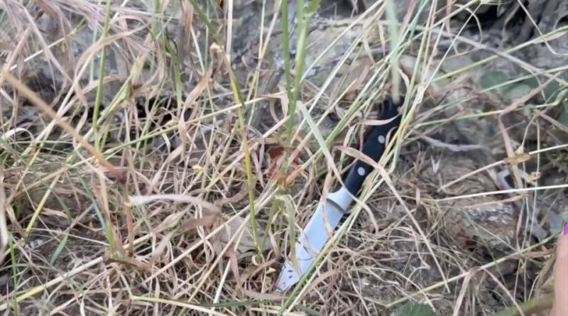 В Севастополе мужчина зарезал бывшую тёщу: возбуждено уголовное дело В Севастополе мужчина зарезал бывшую тёщу: возбуждено уголовное дело