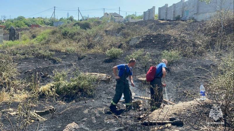 Машина сгорела вместе с сухостоем Машина сгорела вместе с сухостоем