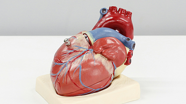 Разработан ИИ-ассистент для прогноза сердечной недостаточности