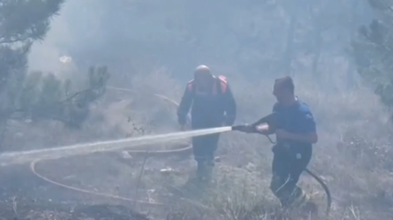 Лесной пожар тушат на горе Змеиной Лесной пожар тушат на горе Змеиной