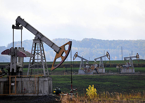 России предсказали снижение экспорта одного энергоносителя