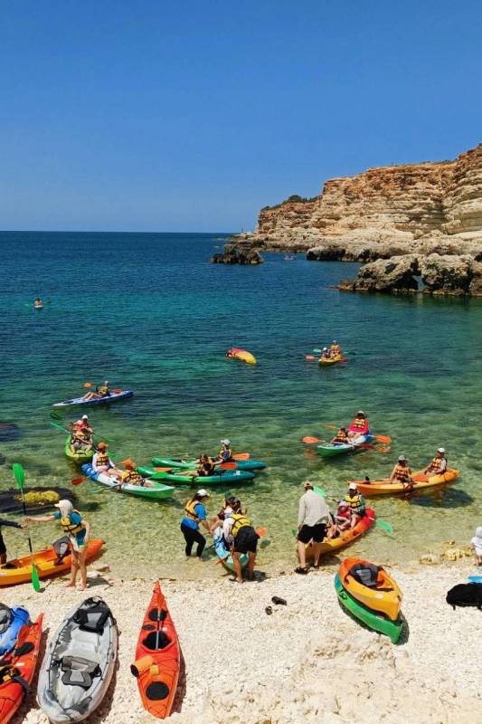 «Природа учит нас понимать прекрасное»