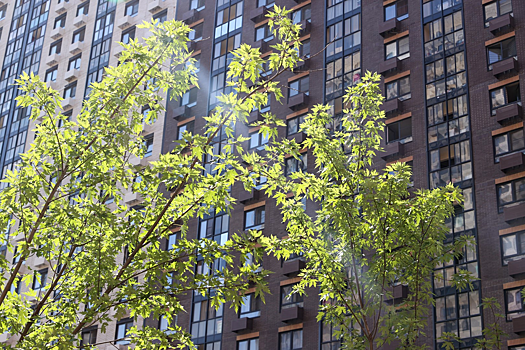 Специалист рассказал о способах сэкономить при аренде квартиры