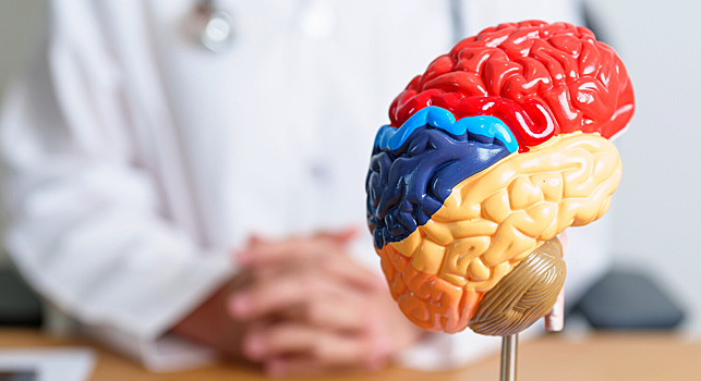 Исследователи узнали, как нехватка кислорода влияет на мозг у пожилых