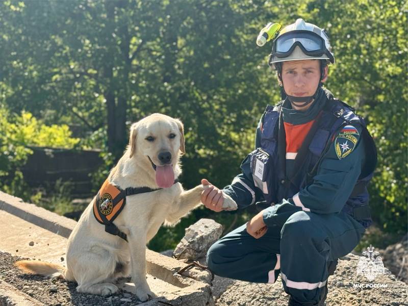 Более 170 кинологических расчетов МЧС России ищут и спасают пострадавших