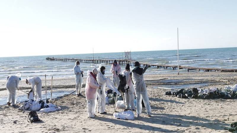 За полгода собрали 887 тонн песка, загрязненного мазутом