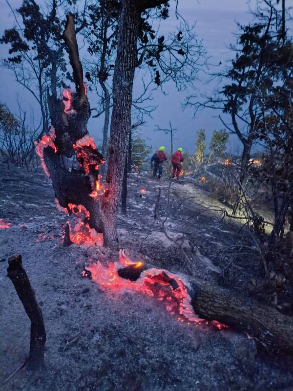 Кадры с места ликвидации пожара в ГО Алушта