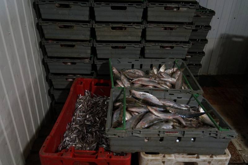 Свыше 9 тонн нелегальной рыбной продукции изъято транспортной полицией у ростовского бизнесмена Свыше 9 тонн нелегальной рыбной продукции изъято транспортной полицией у ростовского бизнесмена