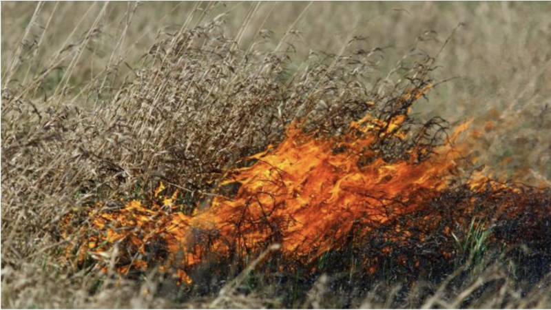 За прошедшие сутки огнеборцы ГКУ РК "Пожарная охрана Республики Крым" 5 раз привлекались для ликвидации возгораний сухостоя