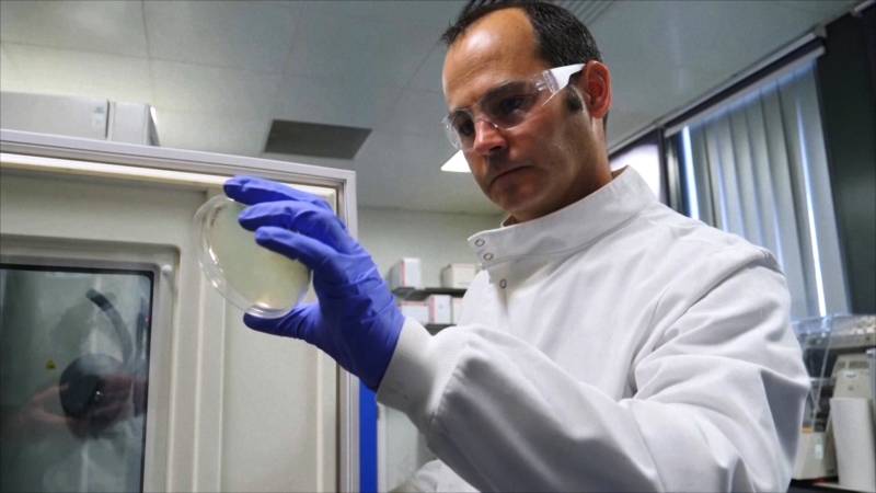 Британские учёные создали узор, который не даёт бактериям скапливаться на поверхности