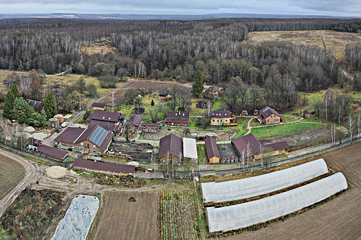 Мишустин утвердил критерии неиспользуемых земельных участков