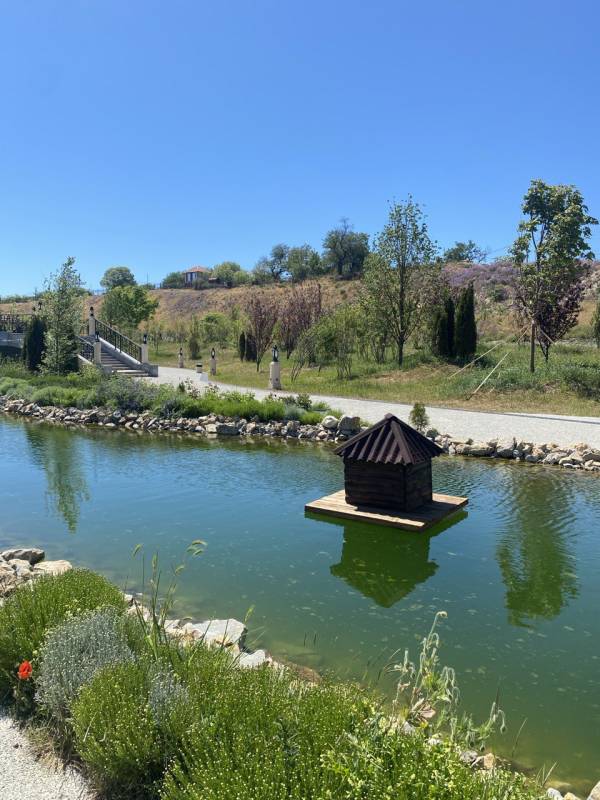 Прогноз погоды в Крыму на 8 июня Прогноз погоды в Крыму на 8 июня