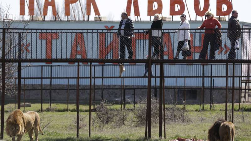 "На таких людях держится Земля": посетитель помог спасти Олега Зубкова