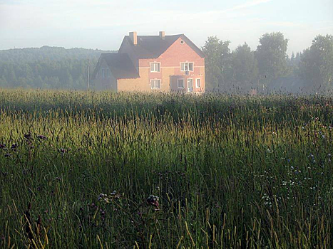 Названы признаки неосвоенного дачного участка