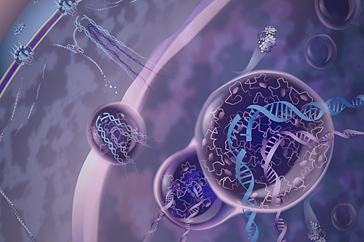 Открыт новый механизм восстановления ДНК