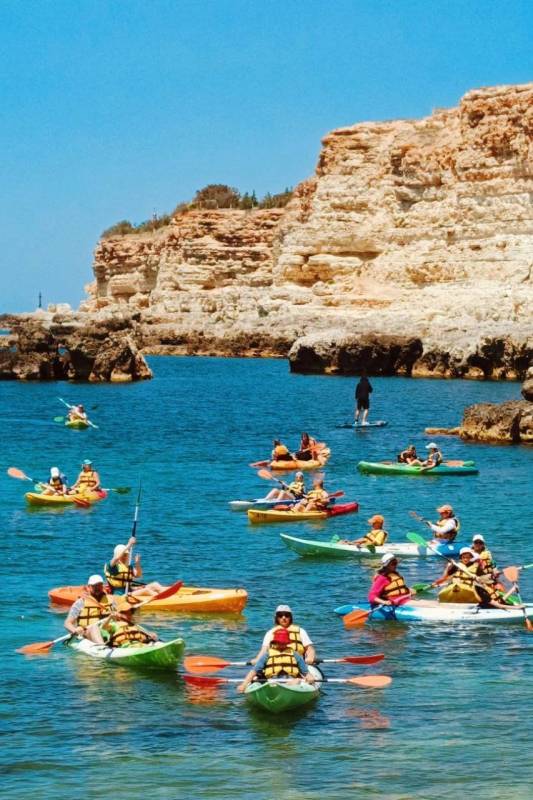 «Природа учит нас понимать прекрасное»