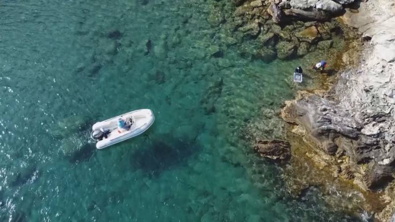 У греческого острова Ярос восстанавливают подводные леса водорослей