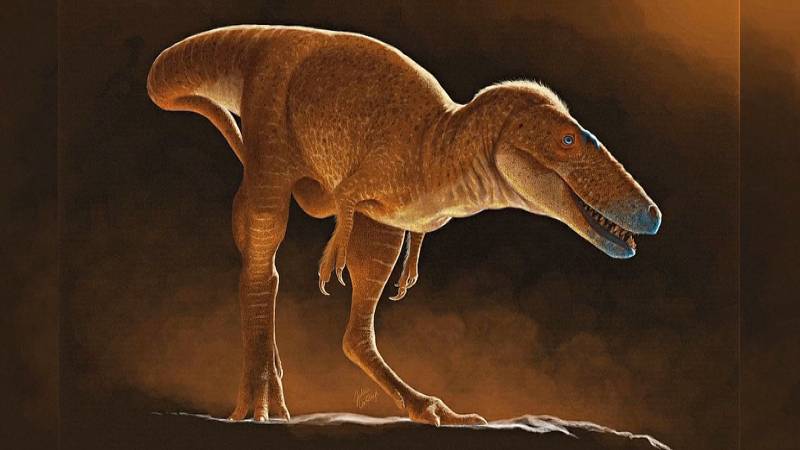 Учёные нашли в Монголии нового родственника Т-рекса