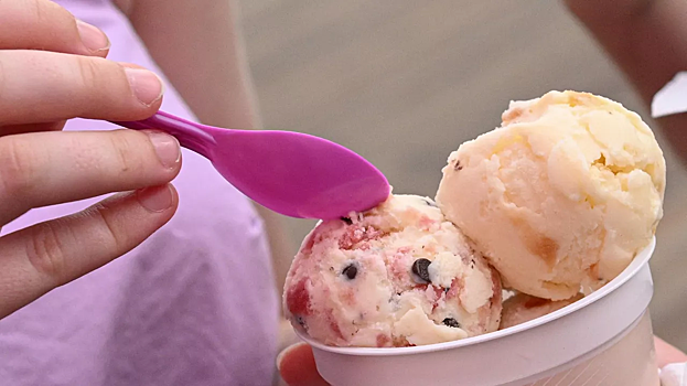 В Германии предложили ввести предельную цену на мороженое