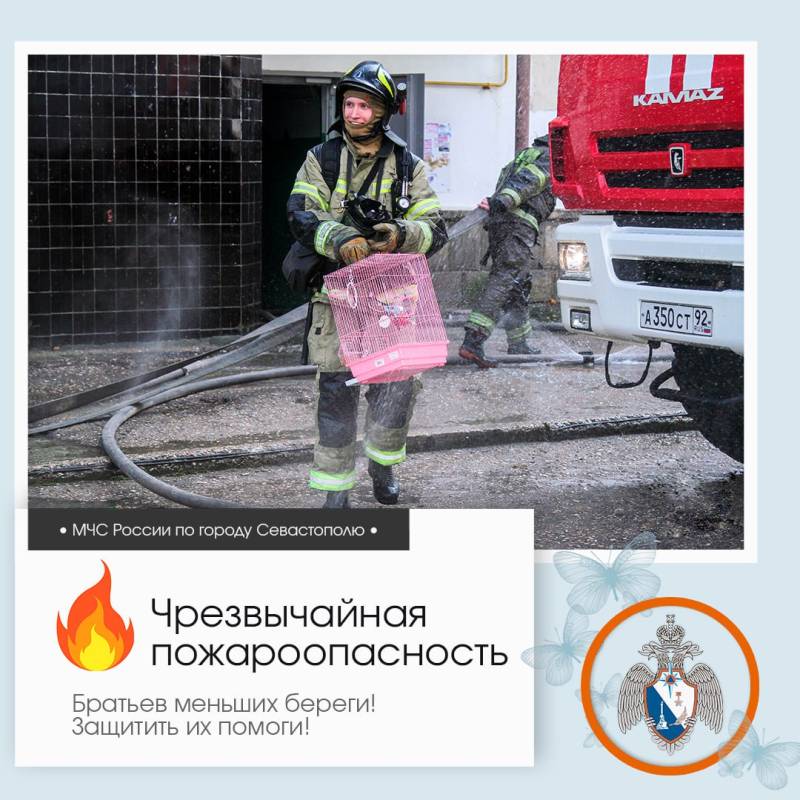 Доброе утро, Севастополь!. По данным гидрометцентра, 2 июля в Севастополе будет переменная облачность