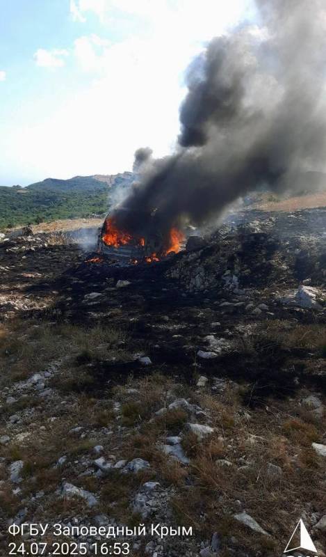 Экстремал на Porsche Cayene устроил шоу в Ялтинском заповеднике