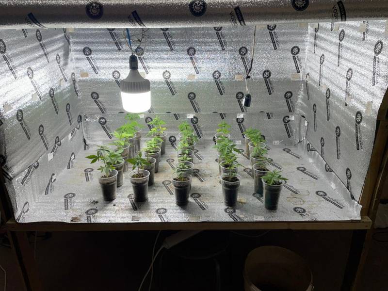 В Сакском районе полицейскими изъяты наркосодержащие растения и марихуана