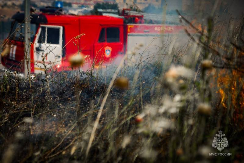 Горящую растительность в районе улицы Отрадная тушат в Севастополе