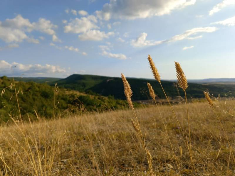 Прогноз погоды в Крыму на 29 июля