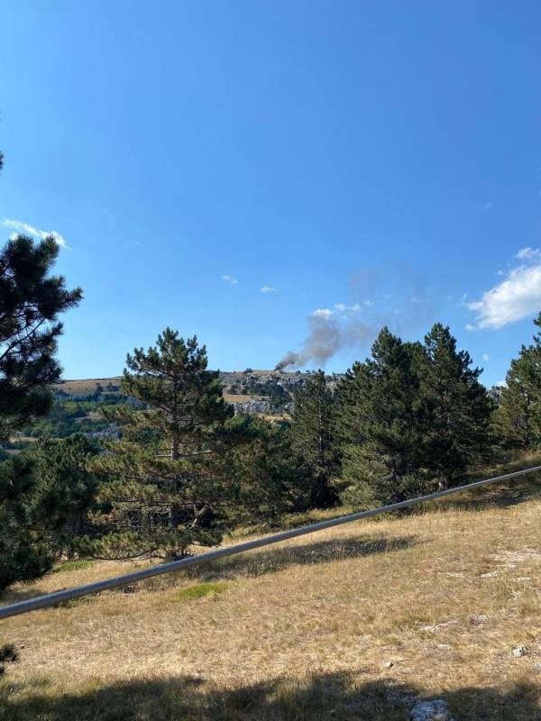 Экстремал на Porsche Cayene устроил шоу в Ялтинском заповеднике