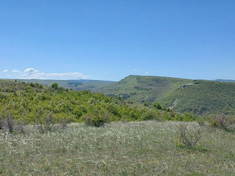 Прогноз погоды в Крыму на 15 июля