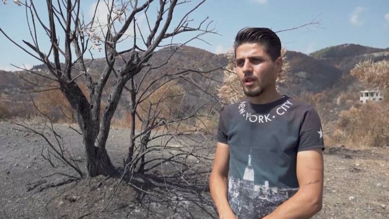 Пожары в Сирии разрушили жизнь фермеров