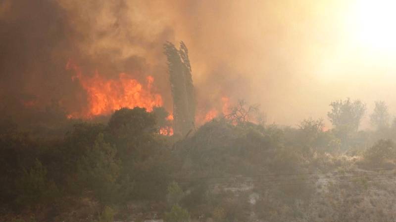 Разрушительный лесной пожар на Кипре: двое погибших