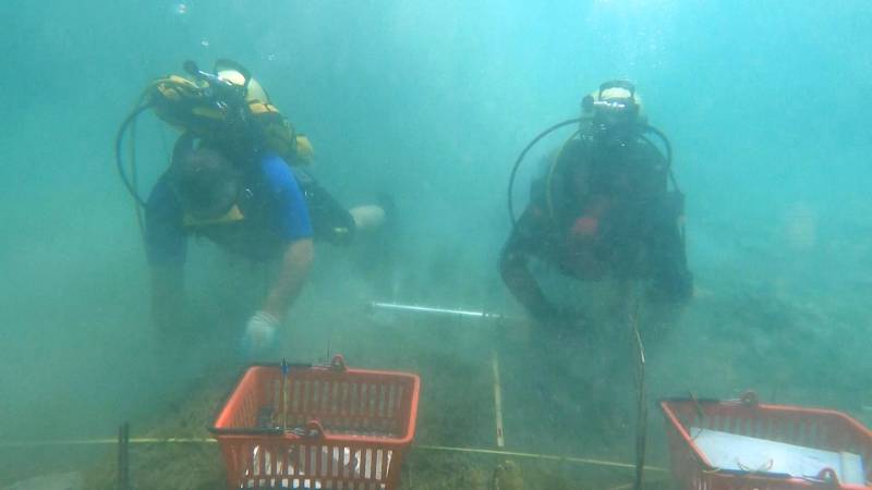 В Албании раскапывают древнейшее в Европе озёрное поселение